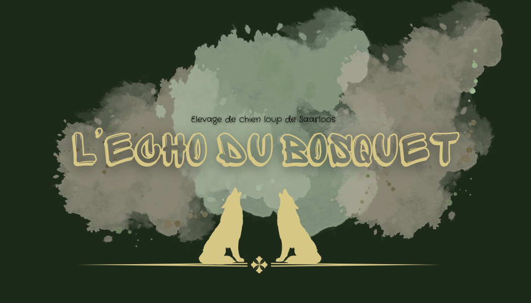 L'Echo Du Bosquet